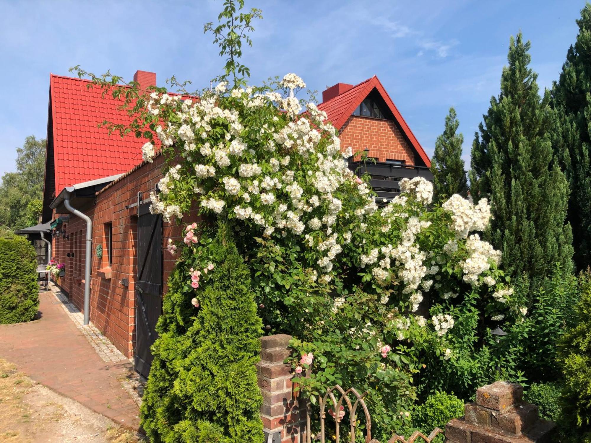 Landhaus Schlunt Wustrow  Extérieur photo